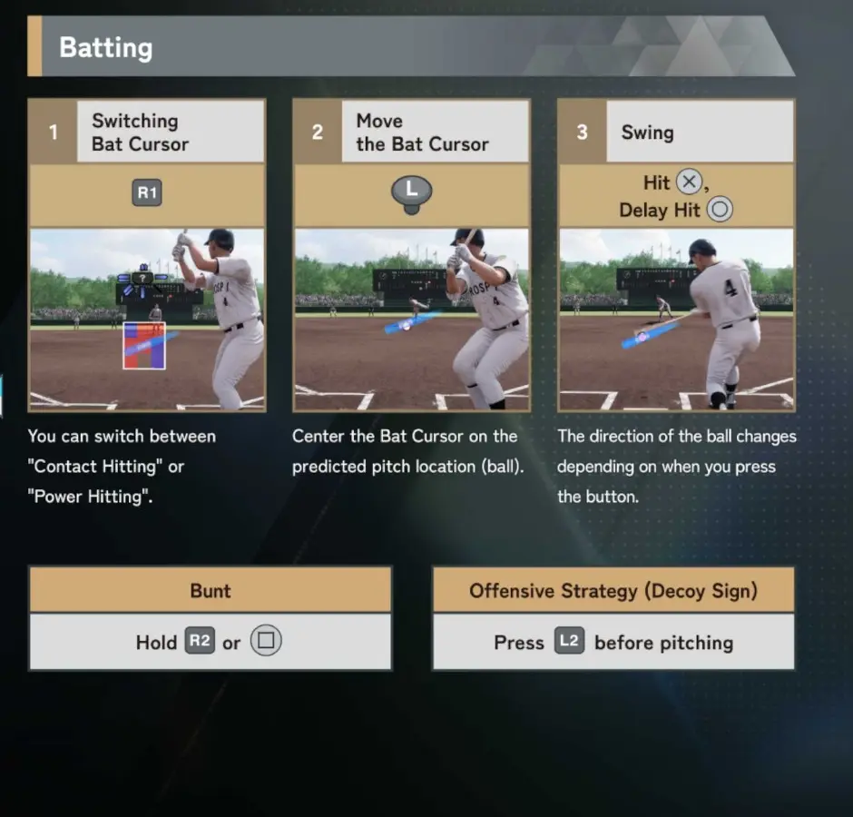Official batting controls